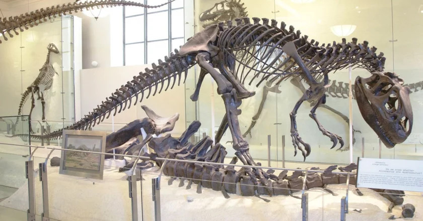 Early Dinosaurs Were Social and Lived in Crowds – May